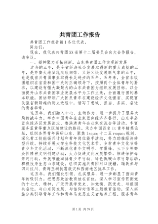 共青团工作报告 (14)