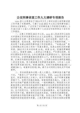 公安刑事侦查工作人大调研专项报告