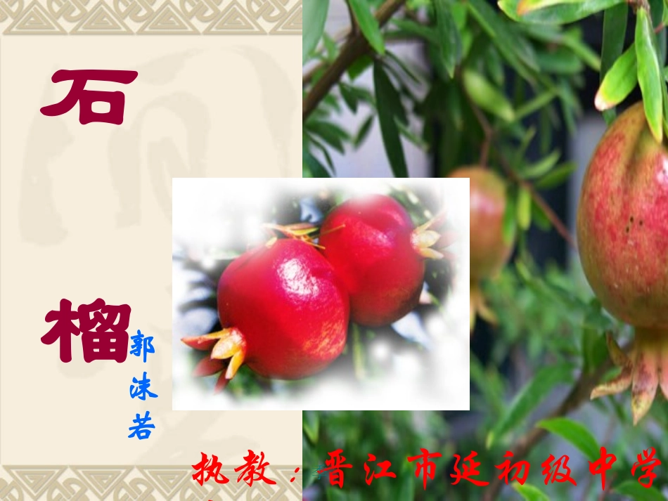 《石榴》课件_第2页