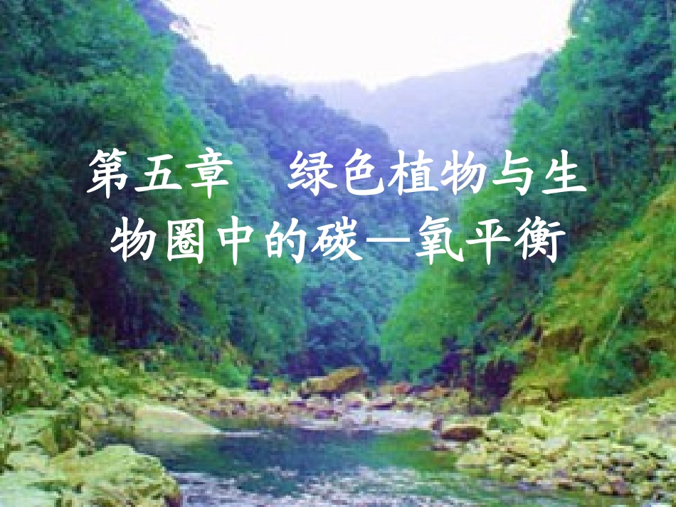 《第一节光合作用吸收二氧化碳释放氧气》课件1_第1页