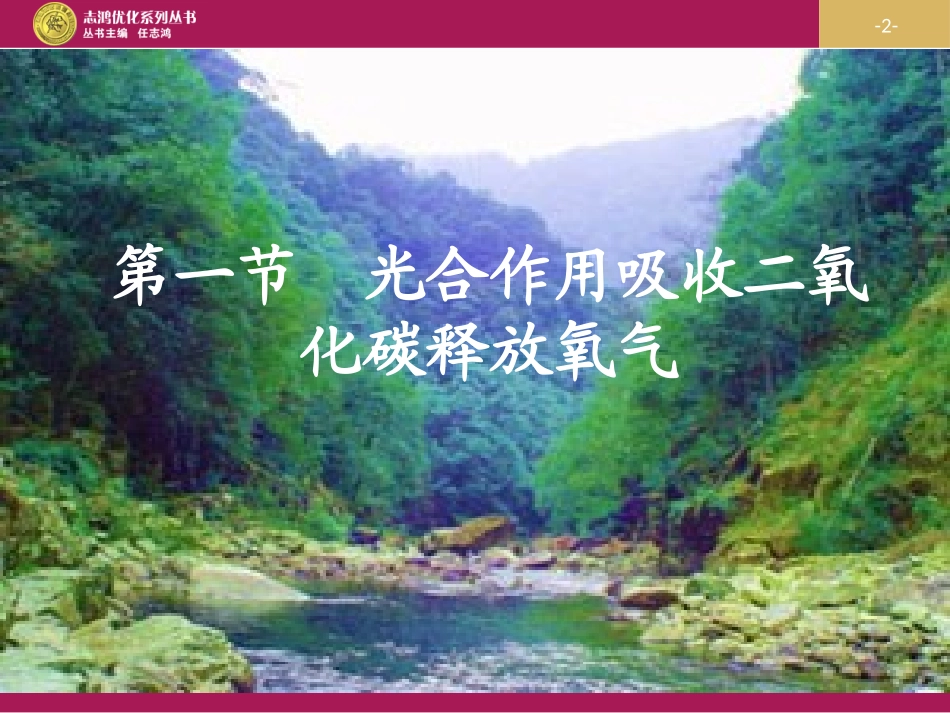 《第一节光合作用吸收二氧化碳释放氧气》课件1_第2页