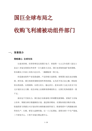 财务个案分析—国巨购并案