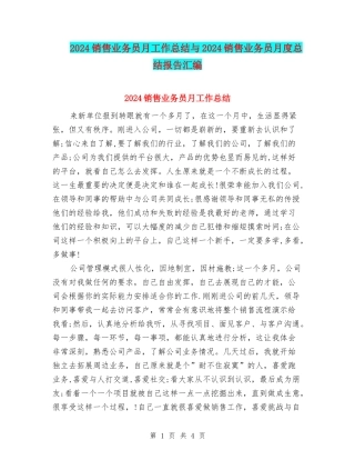 2024销售业务员月工作总结与2024销售业务员月度总结报告汇编
