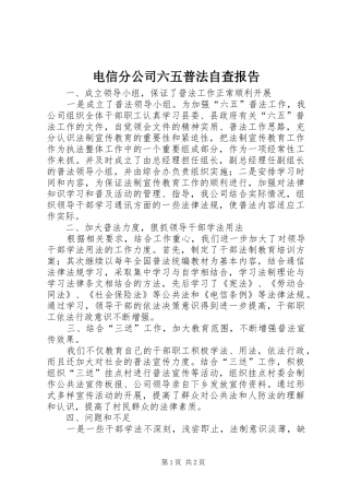 电信分公司六五普法自查报告