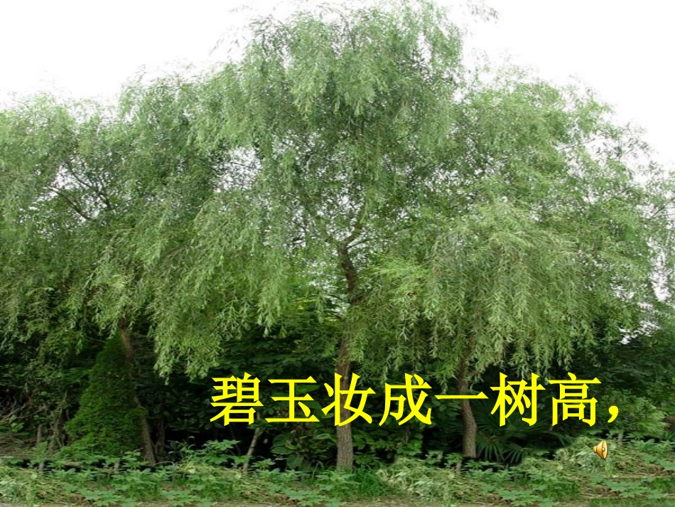 咏柳课件 (2)_第2页