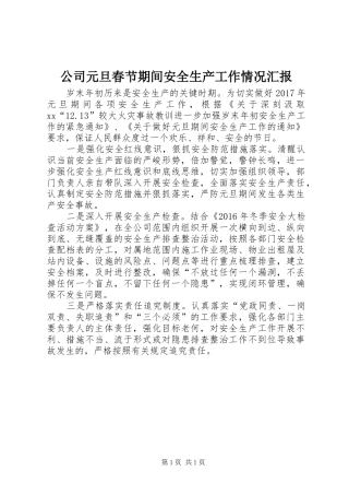 公司元旦春节期间安全生产工作情况汇报