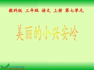 （教科版）三年级语文上册课件美丽的小兴安岭1