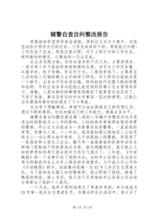 辅警自查自纠整改报告