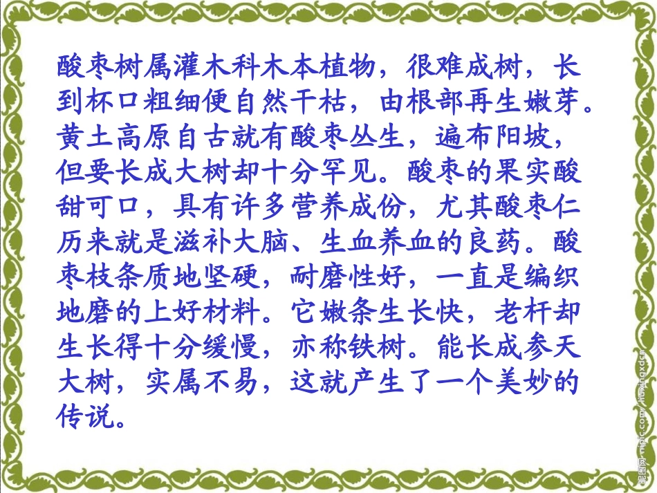 （语文A版）三年级语文上册课件我爱故乡的酸枣树1_第3页