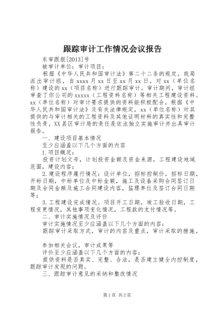 跟踪审计工作情况会议报告