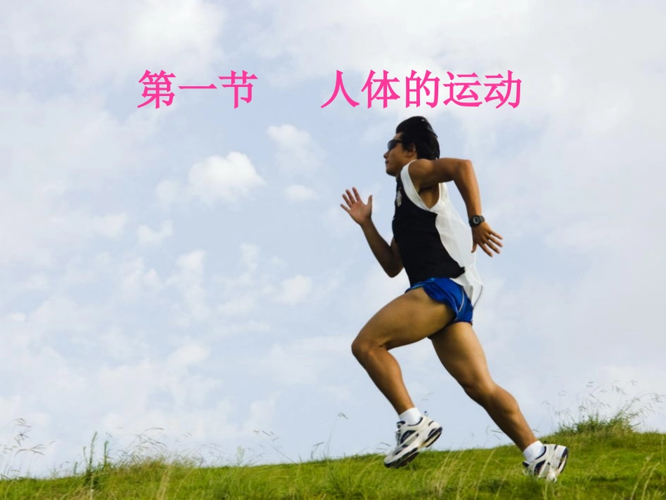 人体的支持与运动1 (2)_第1页