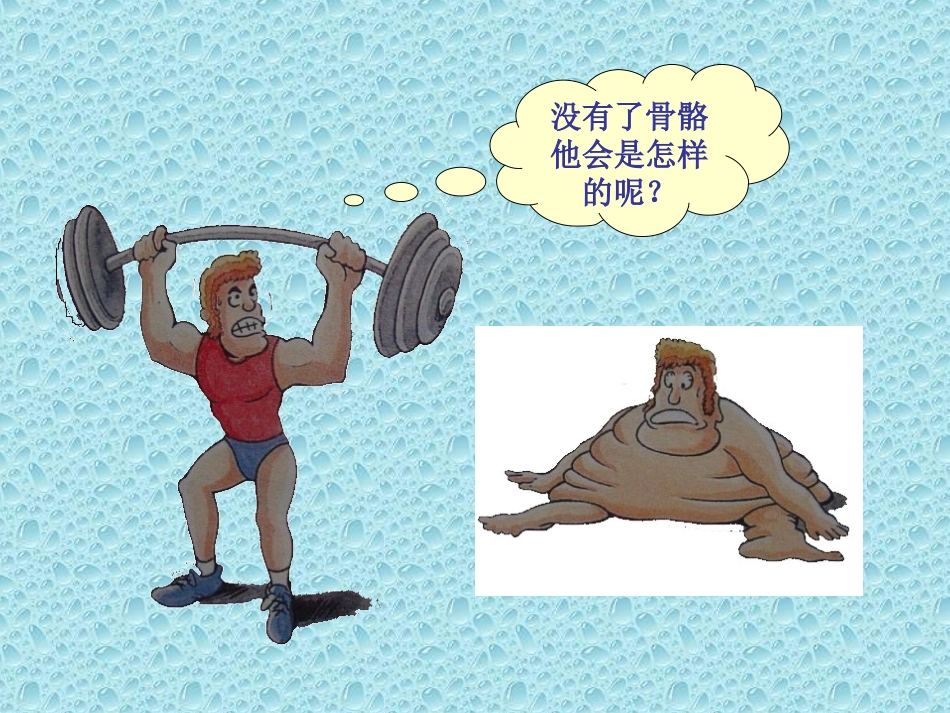 人体的支持与运动1 (2)_第2页