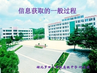 信息获取的一般过程_课件