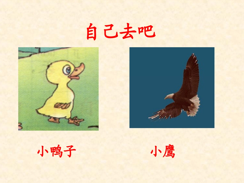 《自己去看吧》课件_第2页