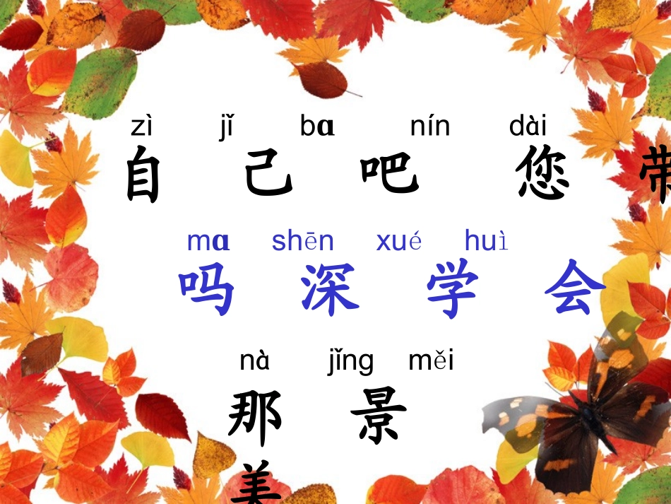 《自己去看吧》课件_第3页