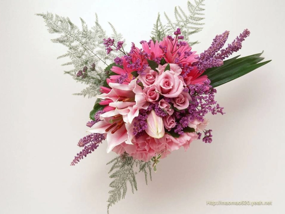 献你一束花 (2)_第2页