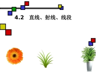 直线、射线、线段4