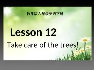 (陕旅版)六年级英语下册课件Lesson12