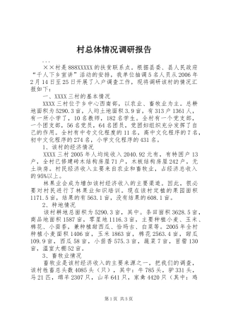 村总体情况调研报告