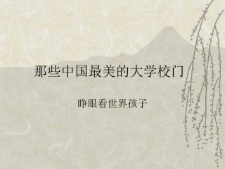 中国名牌大学介绍主题班会
