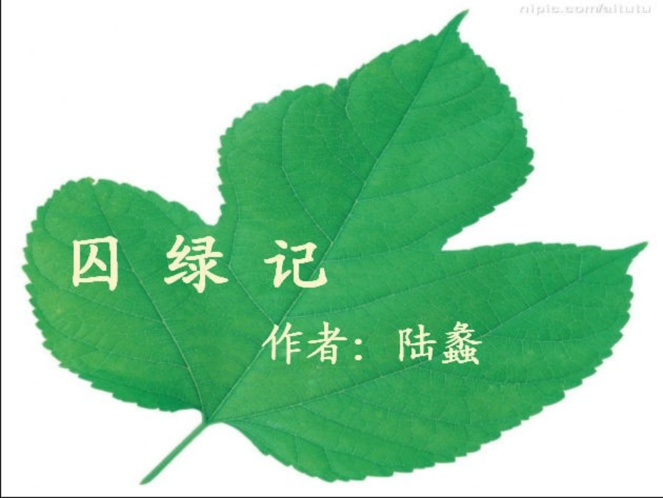 冯英霞囚绿记教案课件_第2页