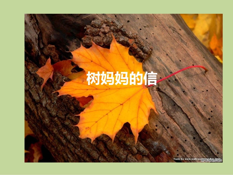 语言：树妈妈的信_第1页
