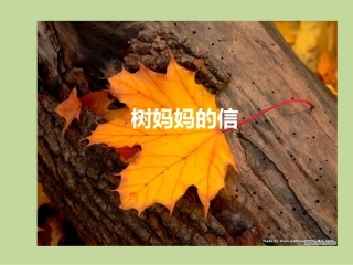 语言：树妈妈的信