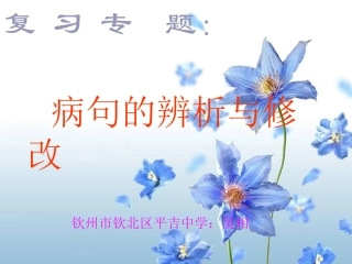 病句的辨析与修改