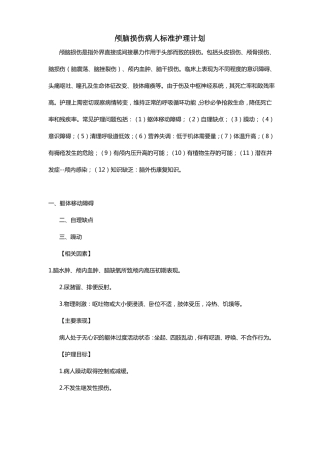 颅脑损伤病人标准护理计划