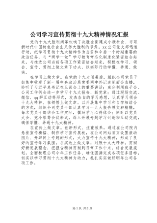 公司学习宣传贯彻十九大精神情况汇报