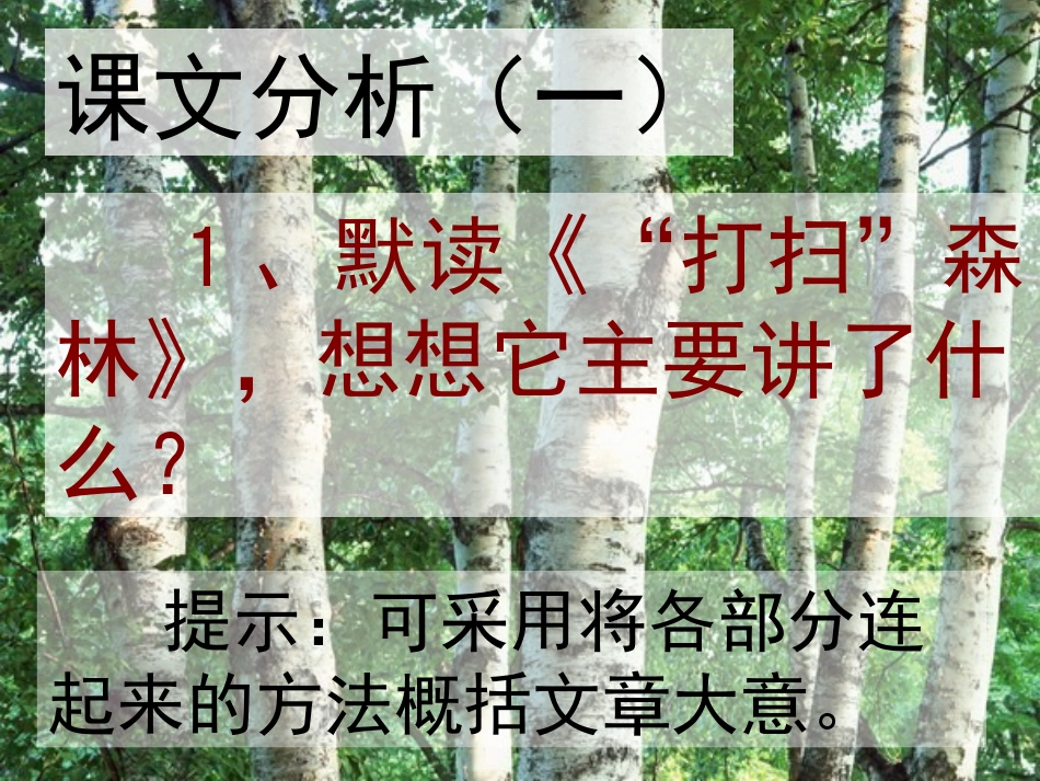 四年级语文第十二课大自然的启示课件_第3页