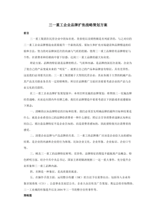 三一重工企业品牌扩张战略策划方案