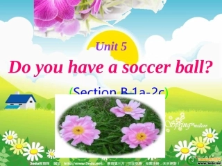 七年级英语Doyouhaveasoccerball课件4