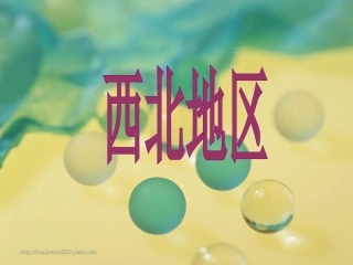 复习西北地区