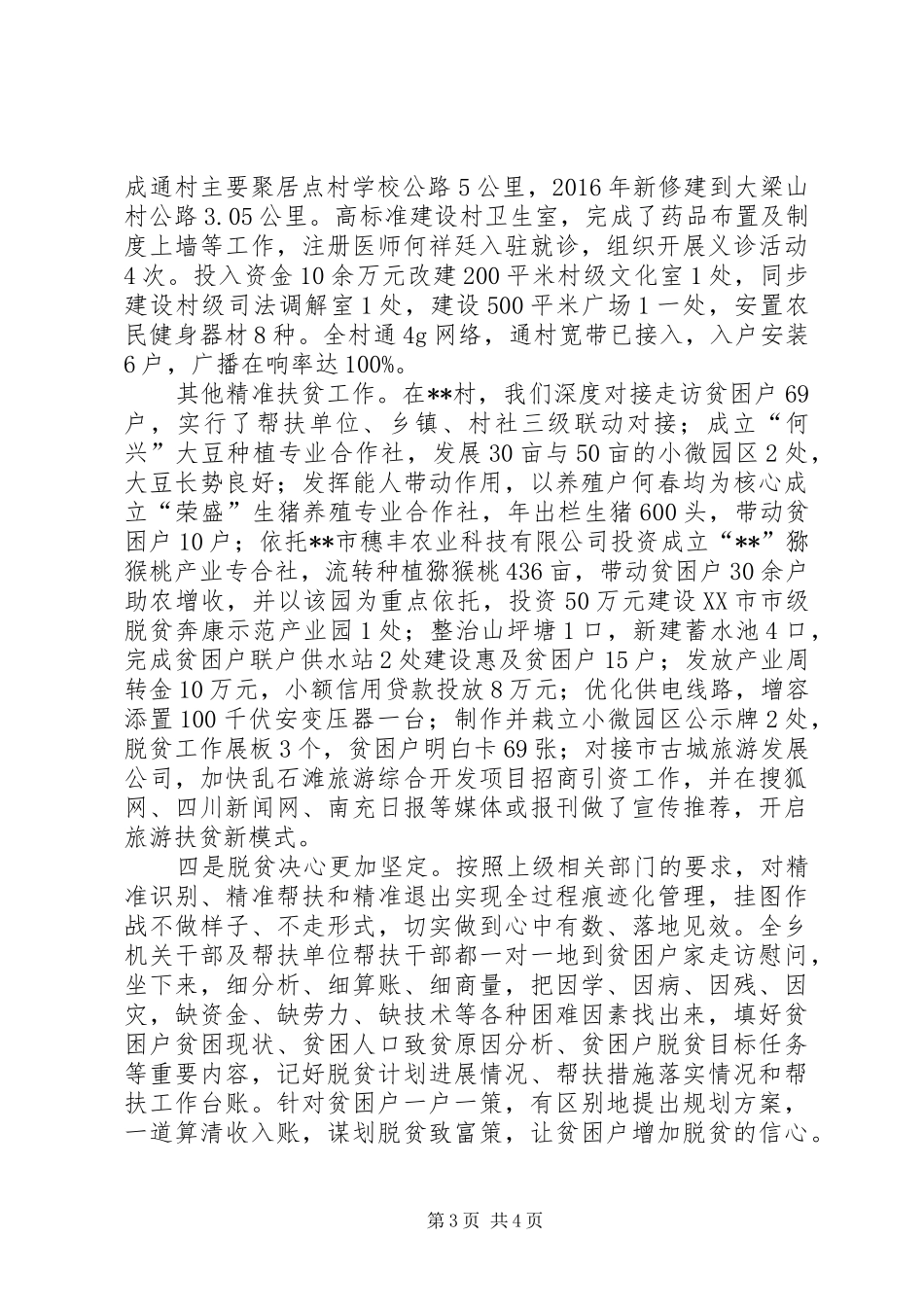 村精准扶贫工作报告_第3页