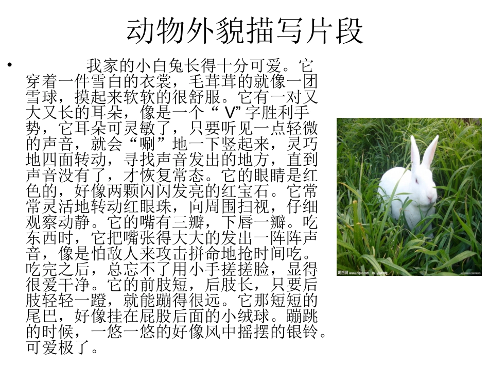 写作教学之喜欢的小动物_第3页