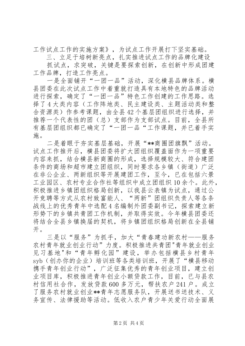 共青团农村基层组织建设和基层工作试点工作报告_第2页