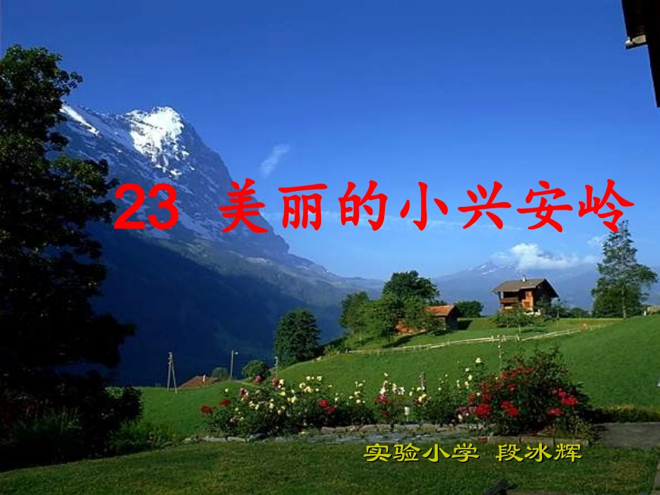 美丽的小兴安岭 (4)_第1页