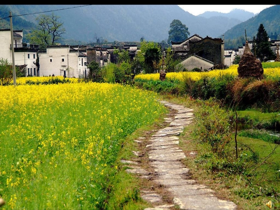 《乡间的小路》PPT_第2页