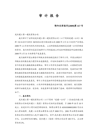 武汉某公司审计报告