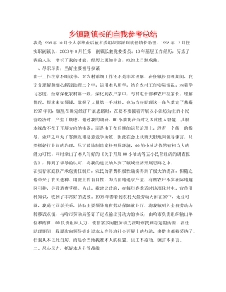 乡镇副镇长的自我参考总结