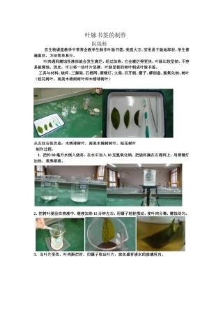 叶脉书签的制作