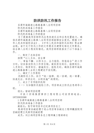 防洪防汛工作报告_4