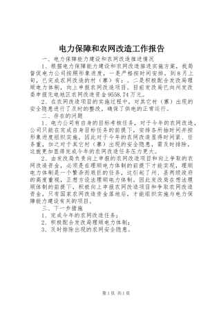 电力保障和农网改造工作报告