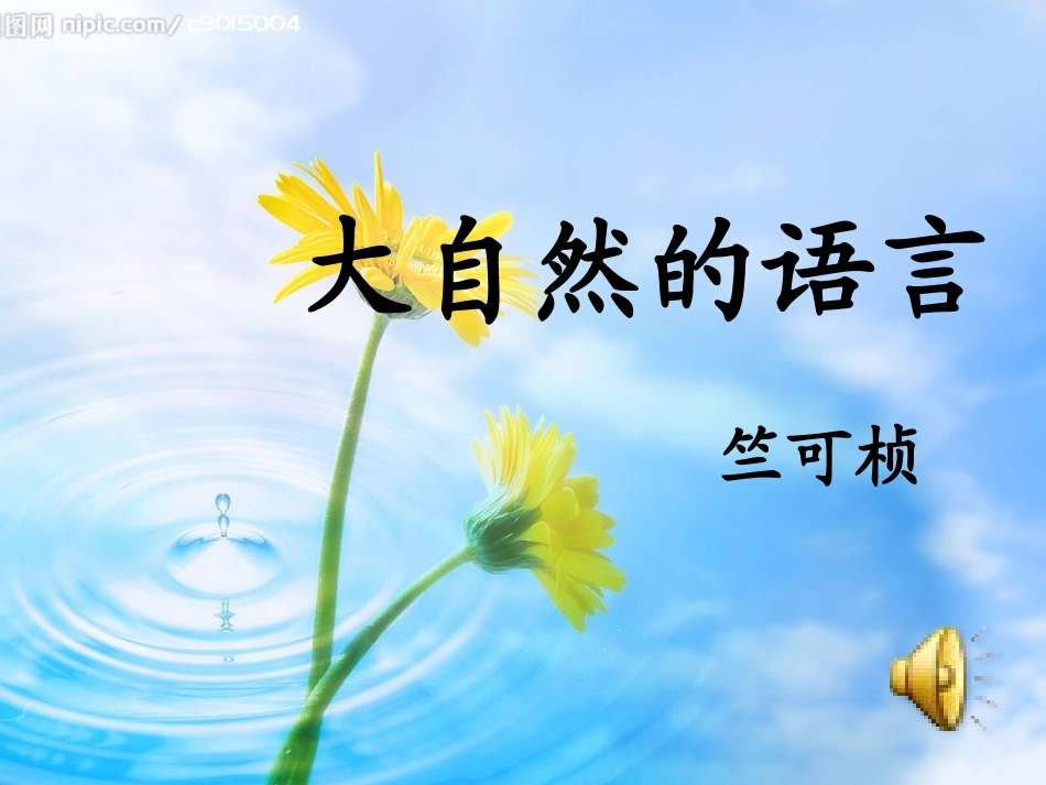 大自然的语言获奖课件_第1页