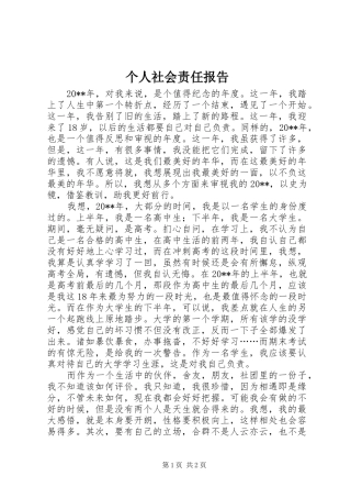 个人社会责任报告