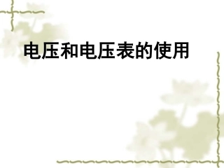 电压和电压表的使用