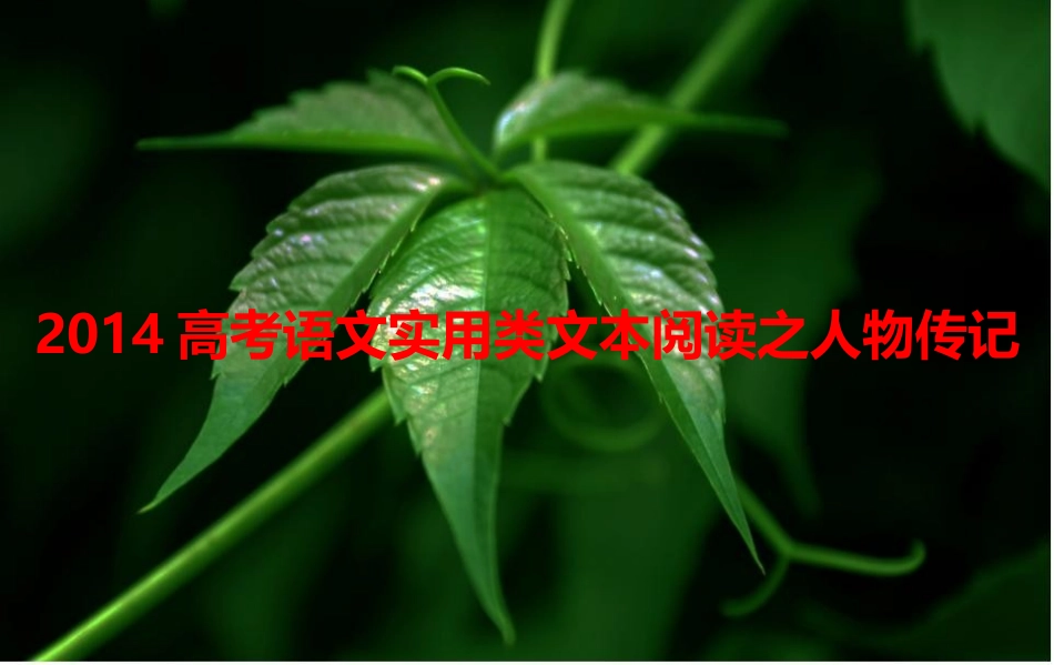 2014高考语文实用类文本阅读之人物传记_第1页