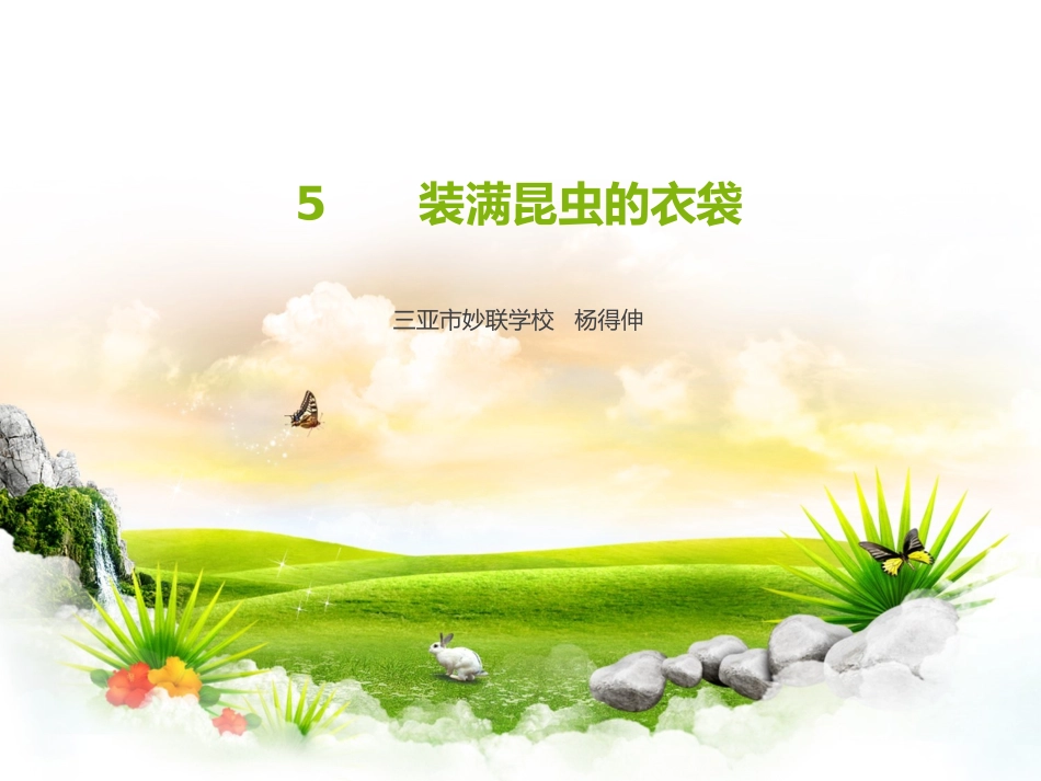装满昆虫的衣袋__课件_第1页