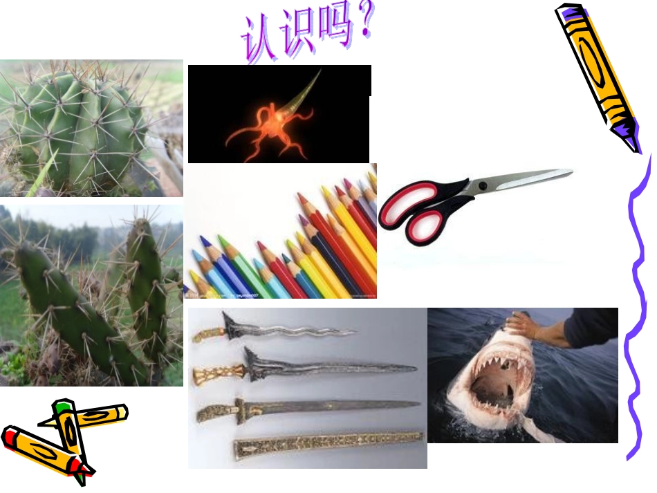 尖锐的东西要小心_第2页